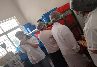 上龛学校开展家校共“膳” 食刻安心活动