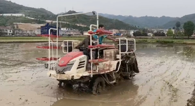 【记者走基层】门古寺镇：机械插秧忙 沃野披绿装