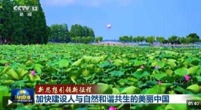 新思想引领新征程丨加快建设人与自然和谐共生的美丽中国