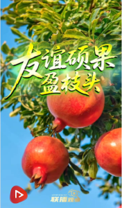 联播+｜友谊硕果盈枝头