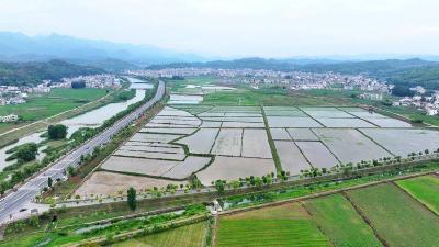 房县：水盈农田 孕育丰收