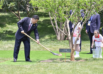 独家视频丨中哈两国元首共同欣赏哈萨克斯坦少年儿童的文艺表演