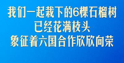 弘扬“中国－中亚精神”，习近平指明中国中亚合作方向