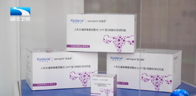 新质生产力在湖北 | 医工交叉融合推动医学创新