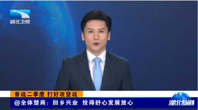 奋战二季度 打好攻坚战丨@全体楚商：回乡兴业 投得舒心发展放心
