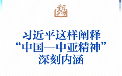 学习新语｜一图学习！习近平这样阐释“中国—中亚精神”深刻内涵