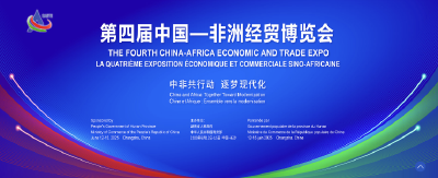这次国际性展会，湖北又又又又担任主宾省