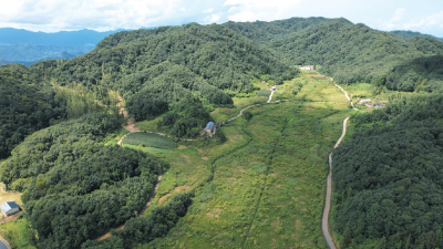 时政微视频丨大美湿地