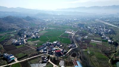武汉12345督办：表扬她 特殊点赞背后的“枫桥经验”汉阳实践
