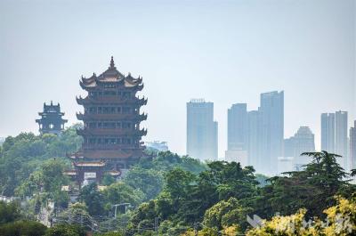 跟黄鹤楼同框”带火多条文旅街巷