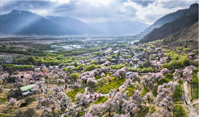 镜观·回响｜擦亮兴边富民的“桃花村”品牌