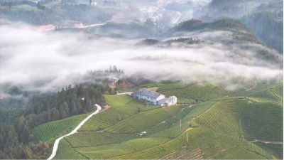 房县窑淮镇：“三举措”规范村级劳务“阳光用工”