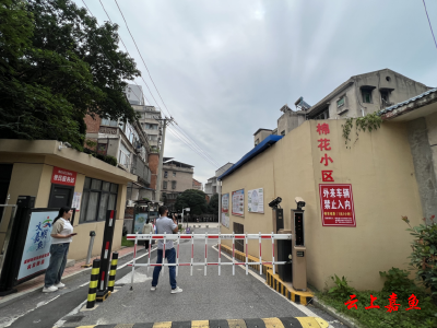 党建“金钥匙”开启居民自治新图景 ——嘉鱼两个小区的治理蝶变启示录