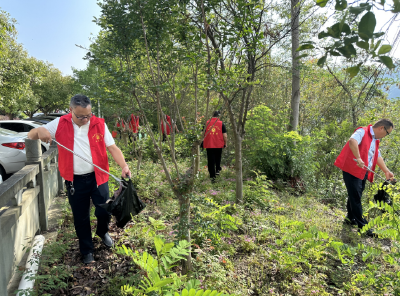 姚坪乡：党建引领聚合力 全民共建焕新颜