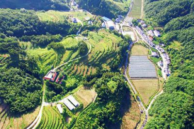 @房县学子 2025年暑假大学生实习实训社会实践活动报名开始啦！