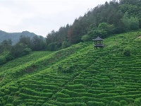窑淮窑旅游区获评国家3A级旅游景区