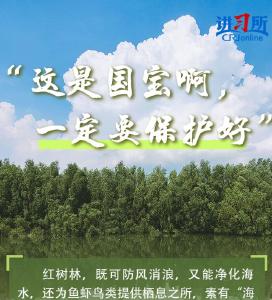 【讲习所·中国与世界】“人不负青山，青山定不负人”-国际在线