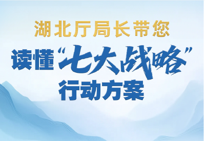 收藏丨“七大战略”行动方案厅局长访谈视频集锦来了！
