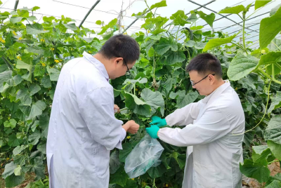 十堰房县：严把农产品质量关 守护群众“舌尖上的安全” 
