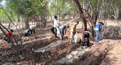 军店镇易沟村：点绿成金铺新路
