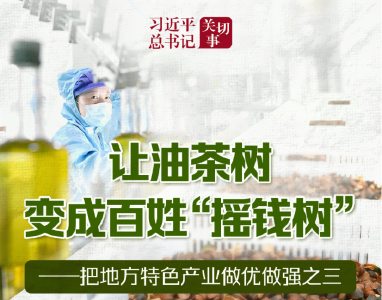 习近平总书记关切事|让油茶树变成百姓“摇钱树”——把地方特色产业做优做强之三