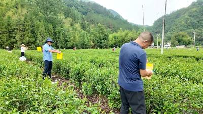 敲门“小鹏”的69天