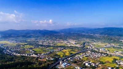 一图读懂 | 激励干部担当作为，湖北这样干！