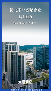 半年新增百万企业，中部“创业第一省”易主