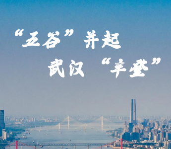 “五谷”并起 武汉“丰登”