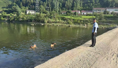 青峰镇：筑牢生命防线 守护夏日平安