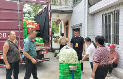 野人谷镇：村民蔬菜喜丰收，人大代表来“助力”