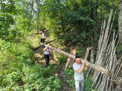 房县以巡促改惠民生 盏盏路灯暖民心