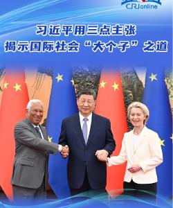 【讲习所·中国与世界】习近平用三点主张揭示国际社会“大个子”之道-国际在线
