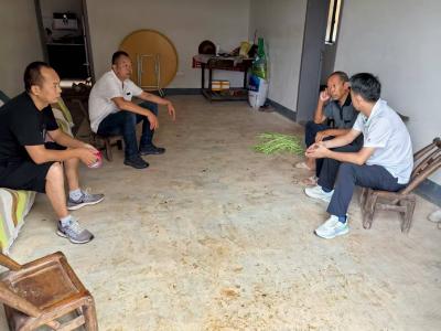 军店镇：筑牢防汛安全线 守护民生稳如常