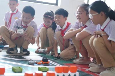 千年古城善治新图景：看襄阳如何用“绣花功夫”织就人民城市的温暖底色
