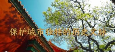微视频｜保护城市独特的历史文脉
