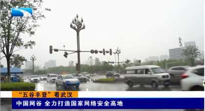 “五谷丰登”看武汉 | 中国网谷 全力打造国家网络安全高地