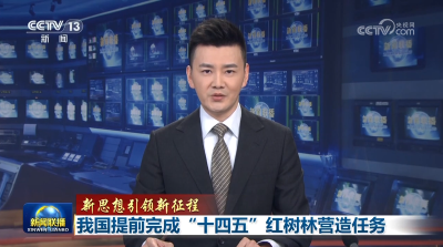 【新思想引领新征程】我国提前完成“十四五”红树林营造任务