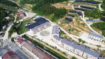 沙河乡：小菌菇撑起大产业