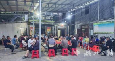 野人谷镇：户院会开在院坝里 干群齐心谋发展