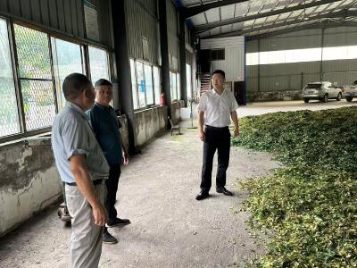 姚坪乡：绿叶出乡    绿色兴乡