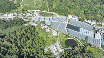 城关镇组建20支巡逻队 织密防溺水“安全网”