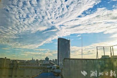 弘扬宪法精神 为推进中国式现代化凝聚法治力量——写在第十二个国家宪法日到来之际