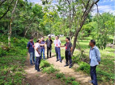 野人谷镇：激活林下“绿动能”，生态经济“双丰收”  