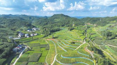 九道乡：拒绝“双宴”树文明 筑牢廉洁“防火墙”