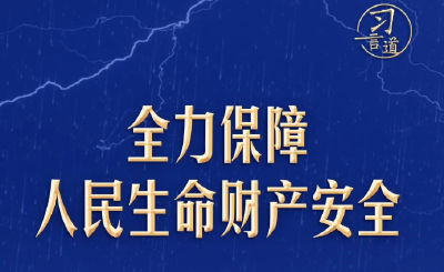 习言道｜全力保障人民生命财产安全