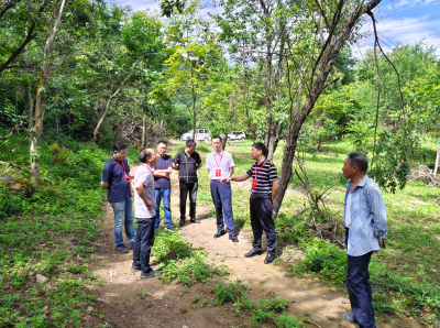 野人谷镇：人大代表“三聚焦”赋能产业升级 书写履职新篇章