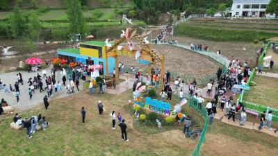 白鹤镇“三举措”扎实推进固定资产投资工作见实效