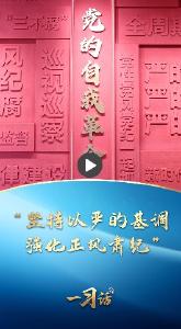 一习话丨“坚持以严的基调强化正风肃纪”