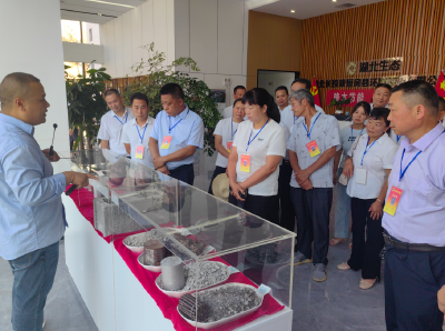 化龙堰镇：代表聚力谋升级 产业扬帆促振兴